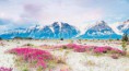 /album/fotogaleria/tundra1-jpeg/