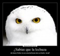 /album/fotogaleria/a704622-jpg/