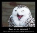 /album/fotogaleria/tumblr-ls75631qrt1r0d1wpo1-1-jpg/